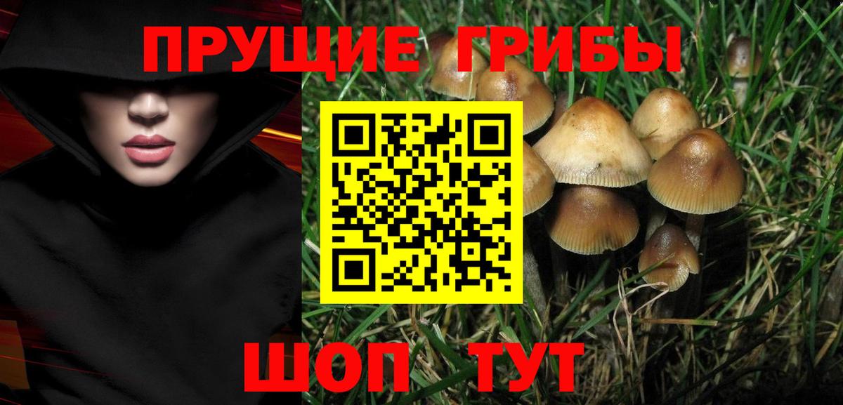 Галлюциногенные грибы MAGIC MUSHROOMS Анжеро-Судженск