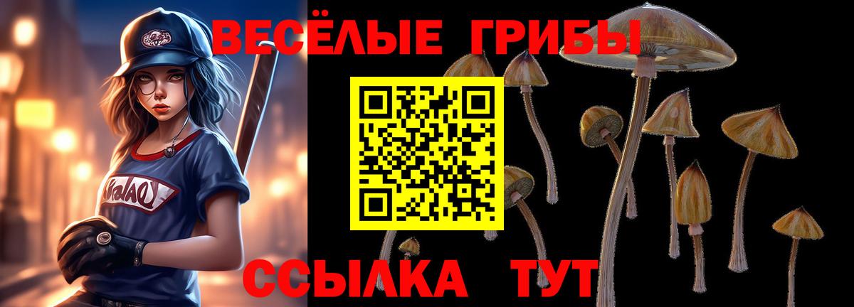Псилоцибиновые грибы ЛСД  Псилоцибиновые грибы Cubensis  Вход с VPN  Анжеро-Судженск 