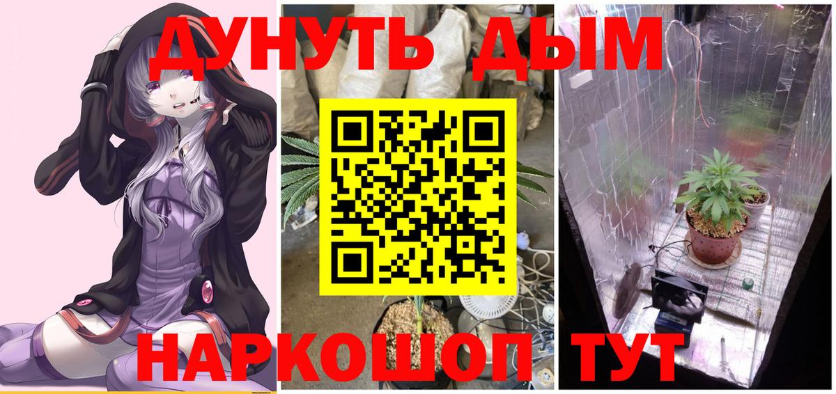 Бошки марихуана THC 21%  Канабис Ganja  Вход с VPN  Шишки марихуана Bruce Banner  Конопля план  Анжеро-Судженск 